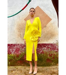 Vestido Lozanía