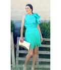Conjunto Flecos